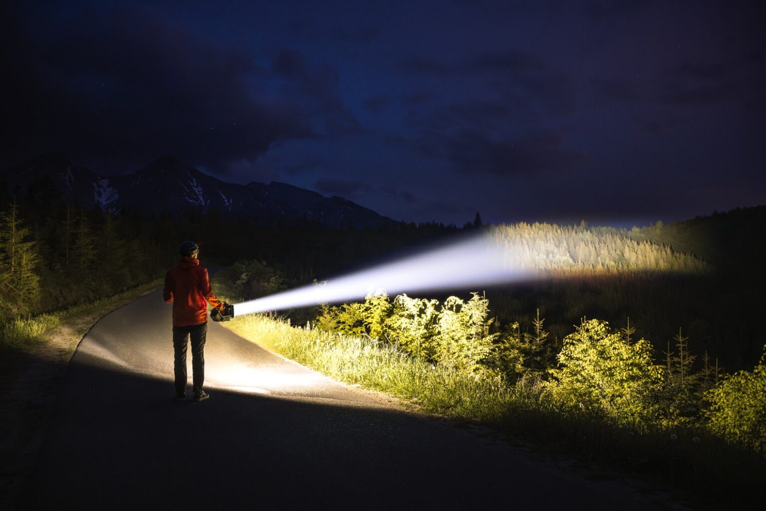 Eine Person hält eine Taschenlampe, die einen Waldweg bei Nacht beleuchtet, umgeben von Bäumen und Bergen.