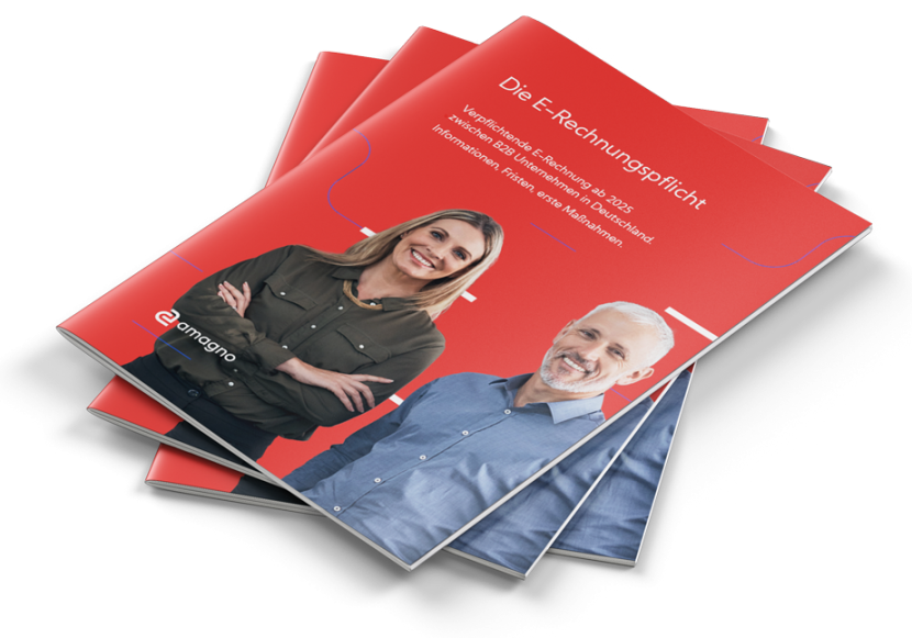 A4 Brochure Mockup E Rechnung transparent 830x581 - E-Book E-Rechnungspflicht